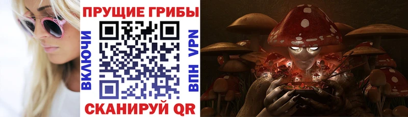 Галлюциногенные грибы GOLDEN TEACHER  наркотики  Мглин 